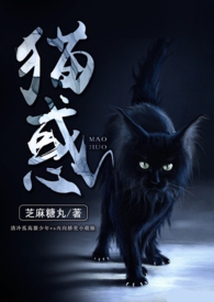 猫惑【校园1v1】全文阅读
