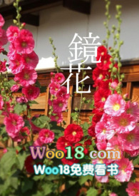 镜花 (百合)全文阅读