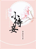 重生小侍妾全文阅读