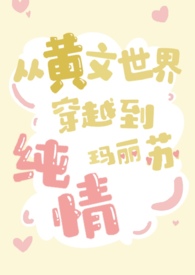 从黄文穿越到纯情玛丽苏这合理吗(np)全文阅读