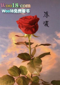 苏瓷(NP)全文阅读