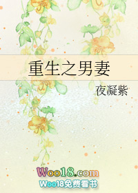 重生之男妻全文阅读