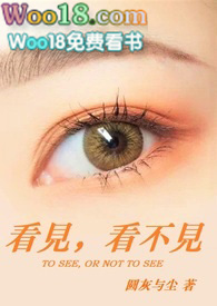 看見,看不見(高H)全文阅读