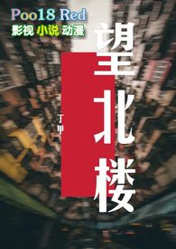 望北楼全文阅读