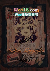 hp狂奔的戈耳工全文阅读