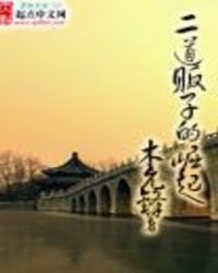 二道贩子的崛起全文阅读