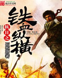 抗日之铁血纵横全文阅读