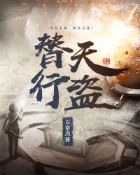 替天行盗全文阅读