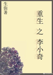 重生之李小奇全文阅读