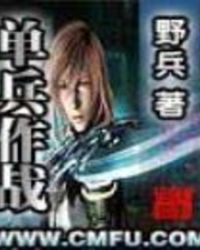 单兵作战全文阅读