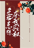 王爷总想夺我兵权全文阅读