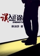 误入正途全文阅读