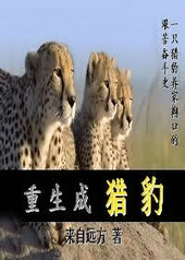 重生成猎豹全文阅读