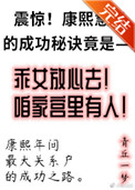 康熙慧妃的躺赢人生全文阅读