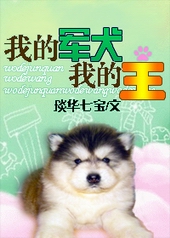 我的军犬我的王全文阅读