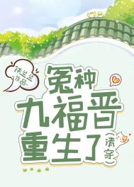 清穿 冤种九福晋重生了全文阅读