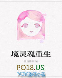 境——灵魂重生全文阅读