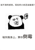 不要乱碰瓷全文阅读