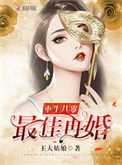 重生之最佳再婚全文阅读