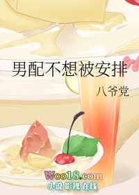男配不想被安排(穿越)全文阅读