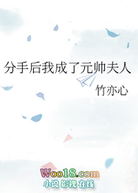 分手后我成了元帅夫人(穿越)全文阅读