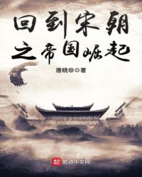 回到宋朝之帝国崛起全文阅读