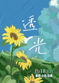 辉光(1v1 h)全文阅读