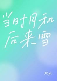 当时月和后来雪全文阅读