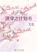 清穿之计划书全文阅读