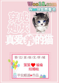 穿成炮灰真爱养的猫全文阅读