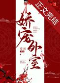 娇宠外室全文阅读