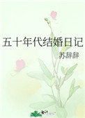 五十年代结婚日记全文阅读