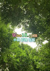 镜观 (1V1)全文阅读