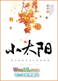 小太阳(重生)全文阅读
