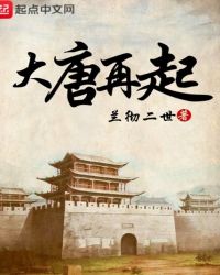 大唐再起全文阅读