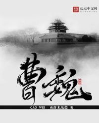 曹魏全文阅读