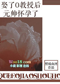 娶了o教授后元帅怀孕全文阅读