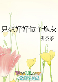 只想好好做个炮灰(穿越)全文阅读