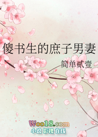 傻书生的庶子男妻(穿越)全文阅读