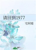 请回到1977全文阅读