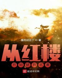 从红楼开始拯救名著全文阅读