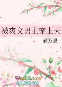 被爽文男主宠上天(穿越)全文阅读