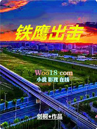 铁鹰出击全文阅读