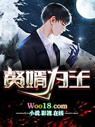 赘婿为王全文阅读