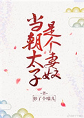 当朝太子是个妻奴全文阅读