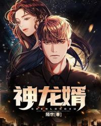 神龙婿全文阅读