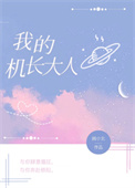 我的机长大人全文阅读