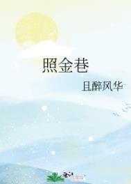 照金巷全文阅读