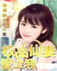 极品仙妻爱上我全文阅读