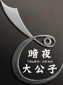 暗夜大公子全文阅读
